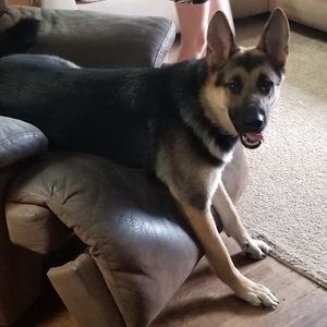 Meet your Posher, Aly